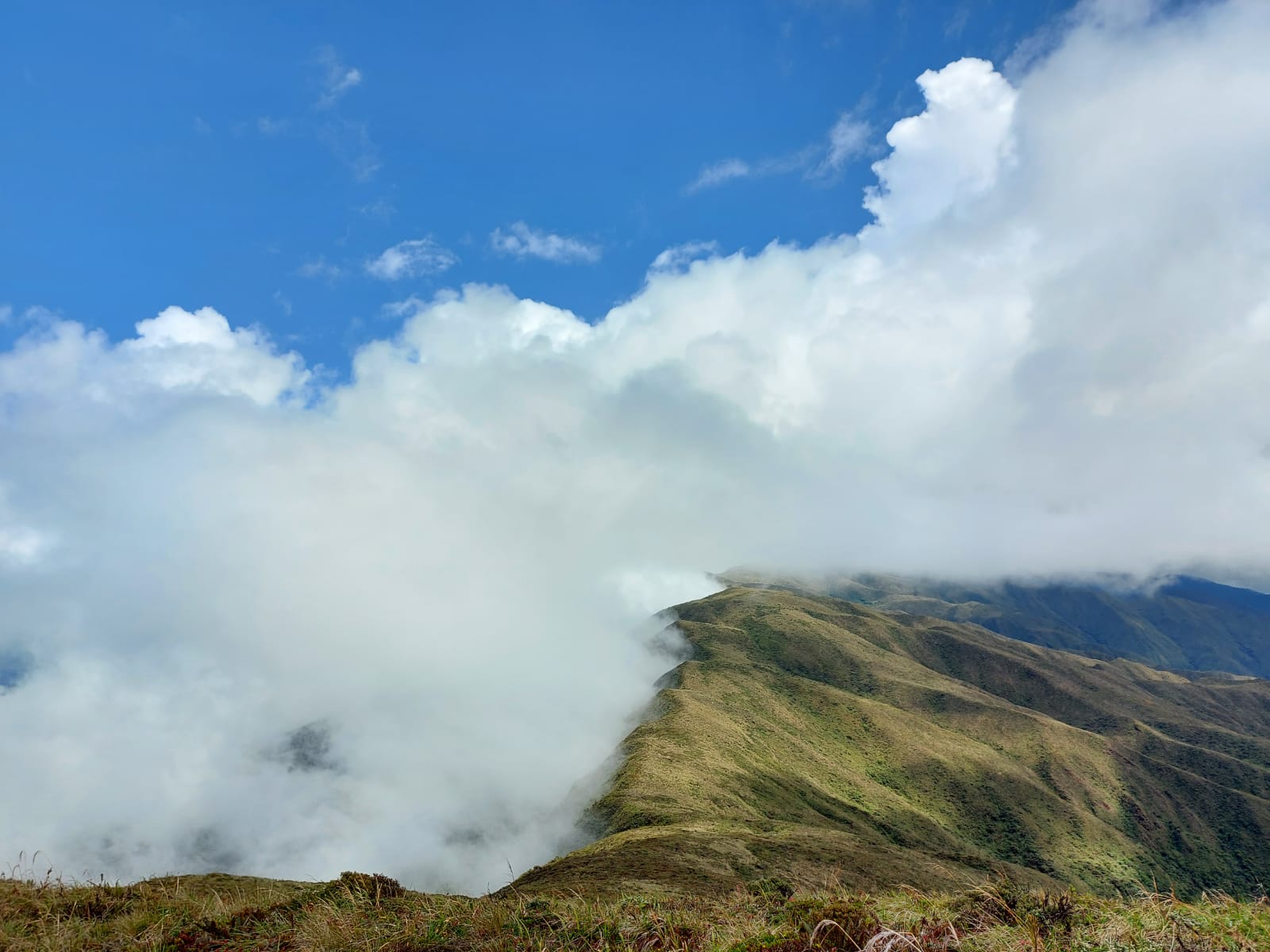 CITIAB: Centro de Investigaciones Tropicales del Ambiente y Biodiversidad
