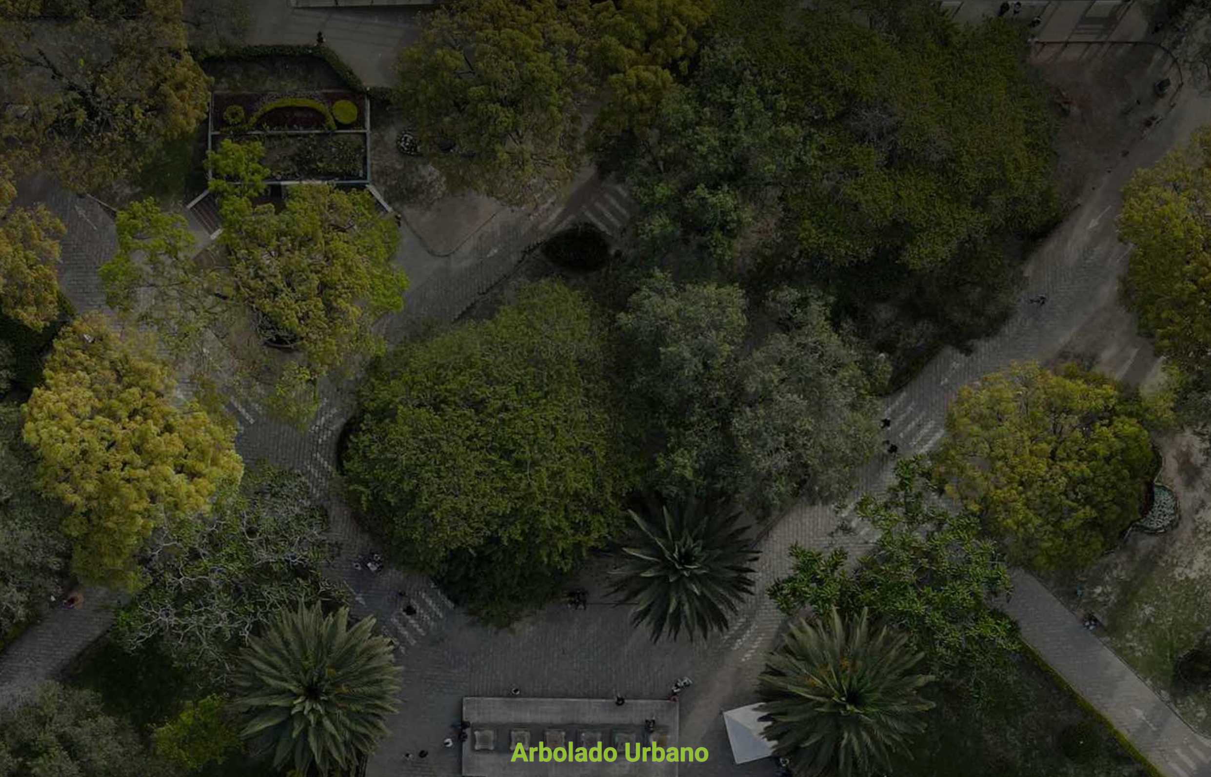 Vista aérea de un parque con diversas especies de árboles y senderos peatonales, representativo del proyecto de gestión de arbolado urbano