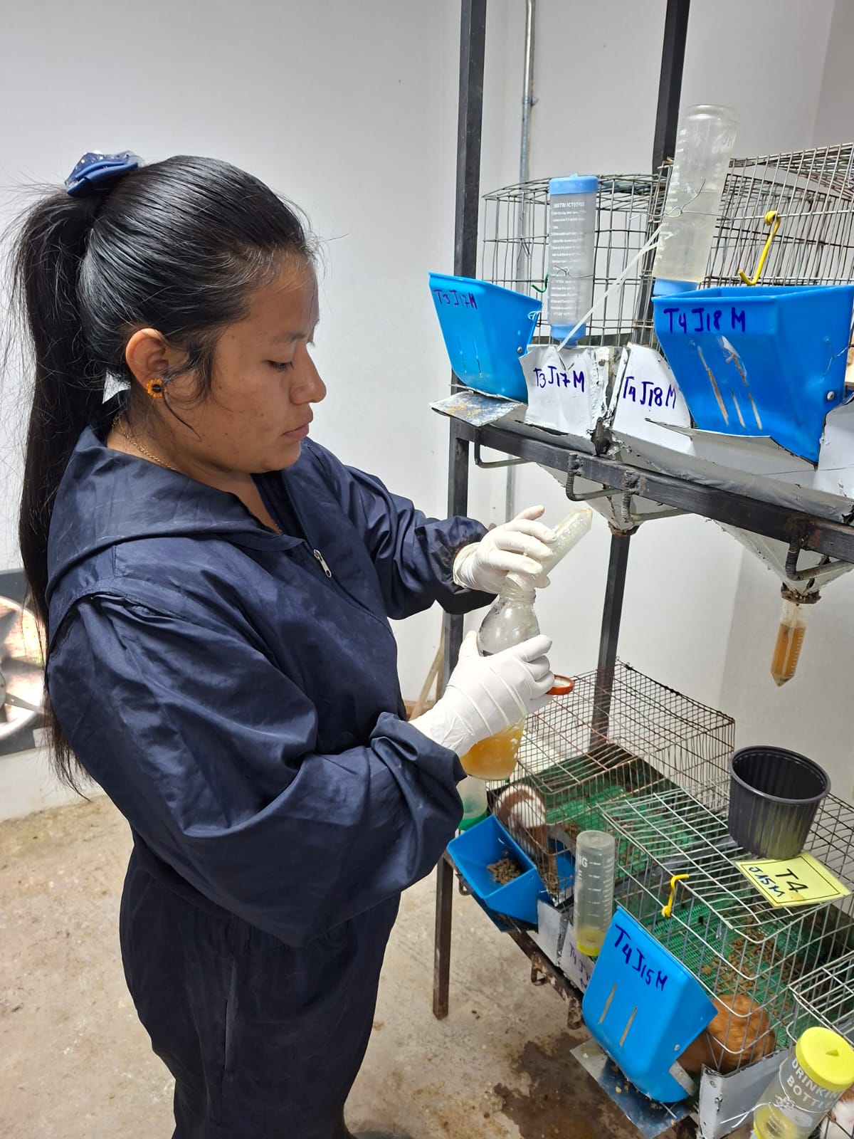 Equipo de investigación en campo
