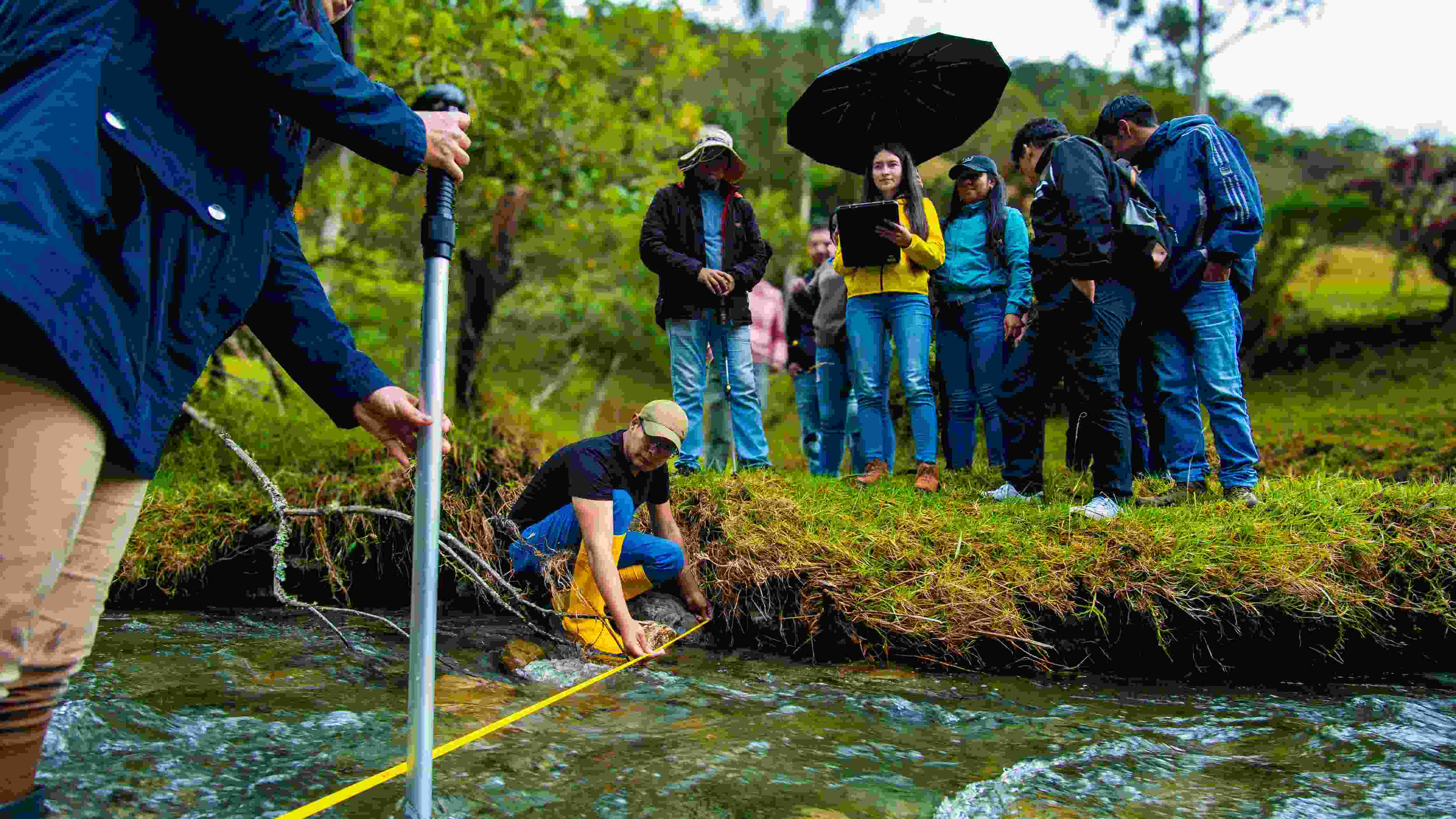 NuevasMaestrías2025-1 2