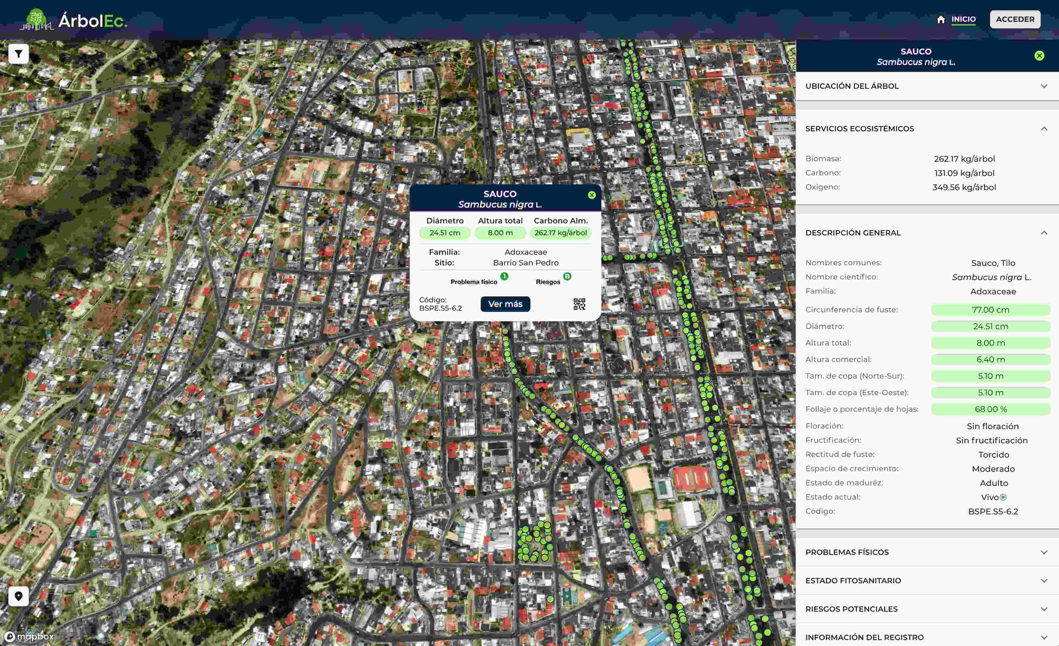 LanzamientoÁrbolEc 2