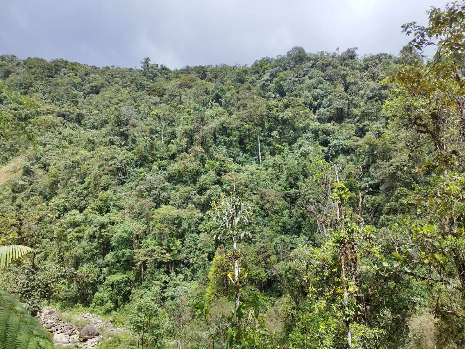 InvestigaciónHerbario 2