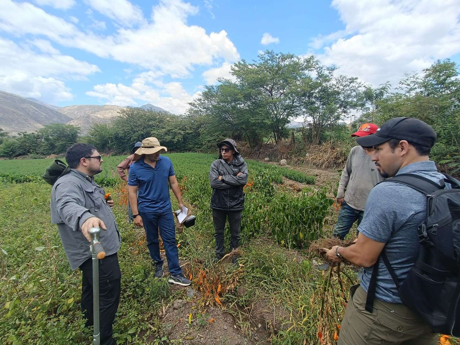 MaestríaEnAgronomía 2