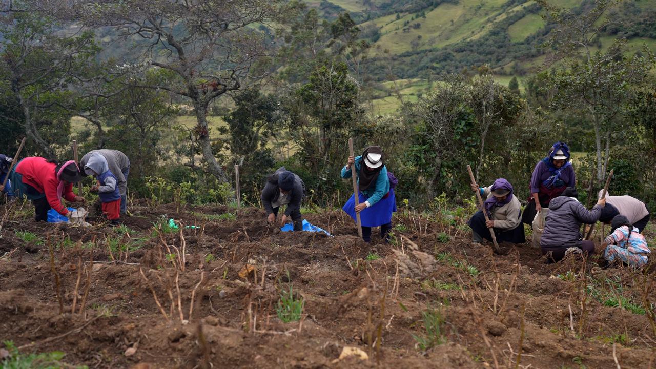 ProyectoVinculaciónChuquiribamba 2