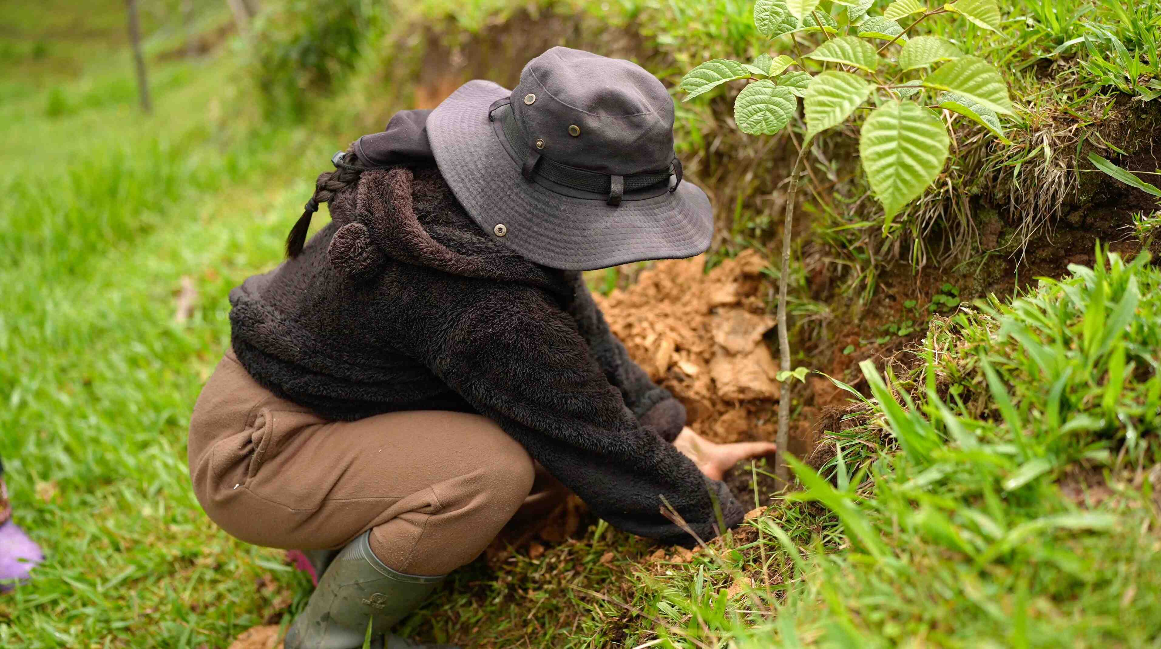 SemanaDelÁrbolYLaBiodiversidadUNL2025 3