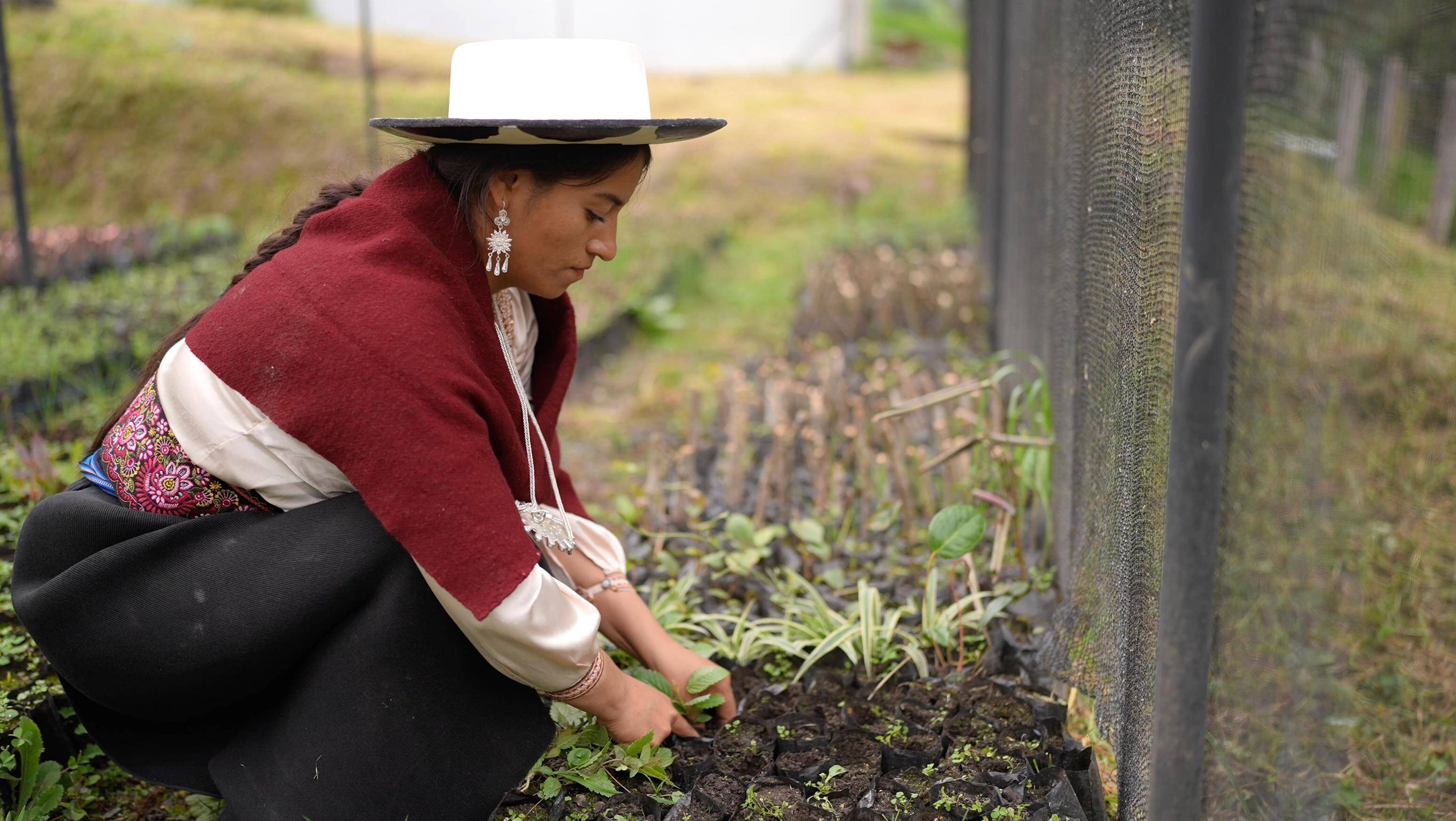 RestauraciónForestalUNL 3
