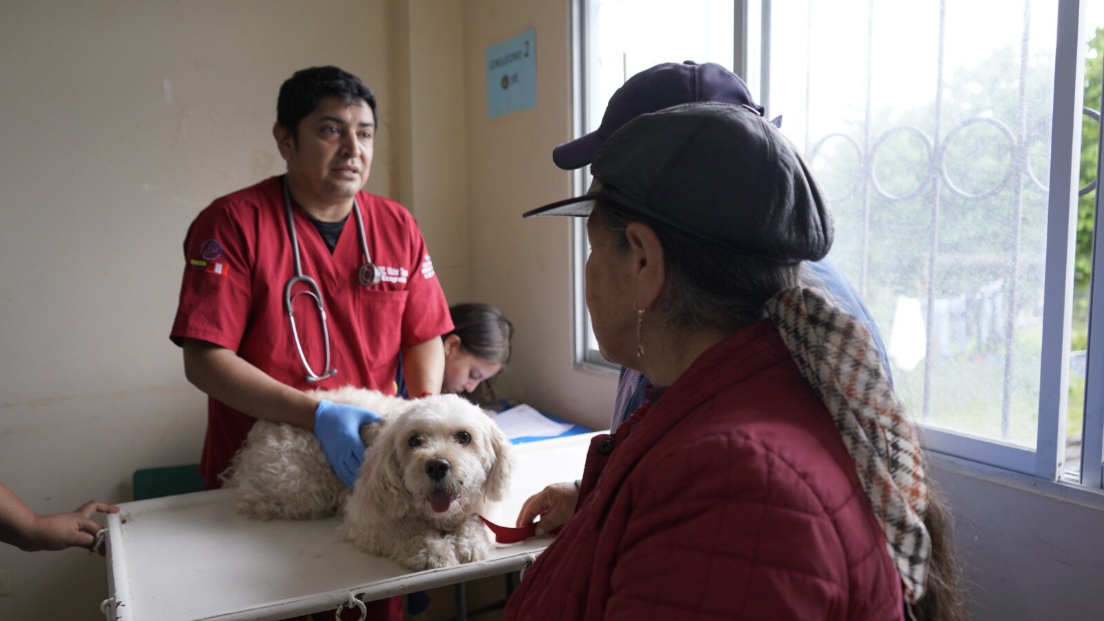 JornadasPerrosYGatos 3