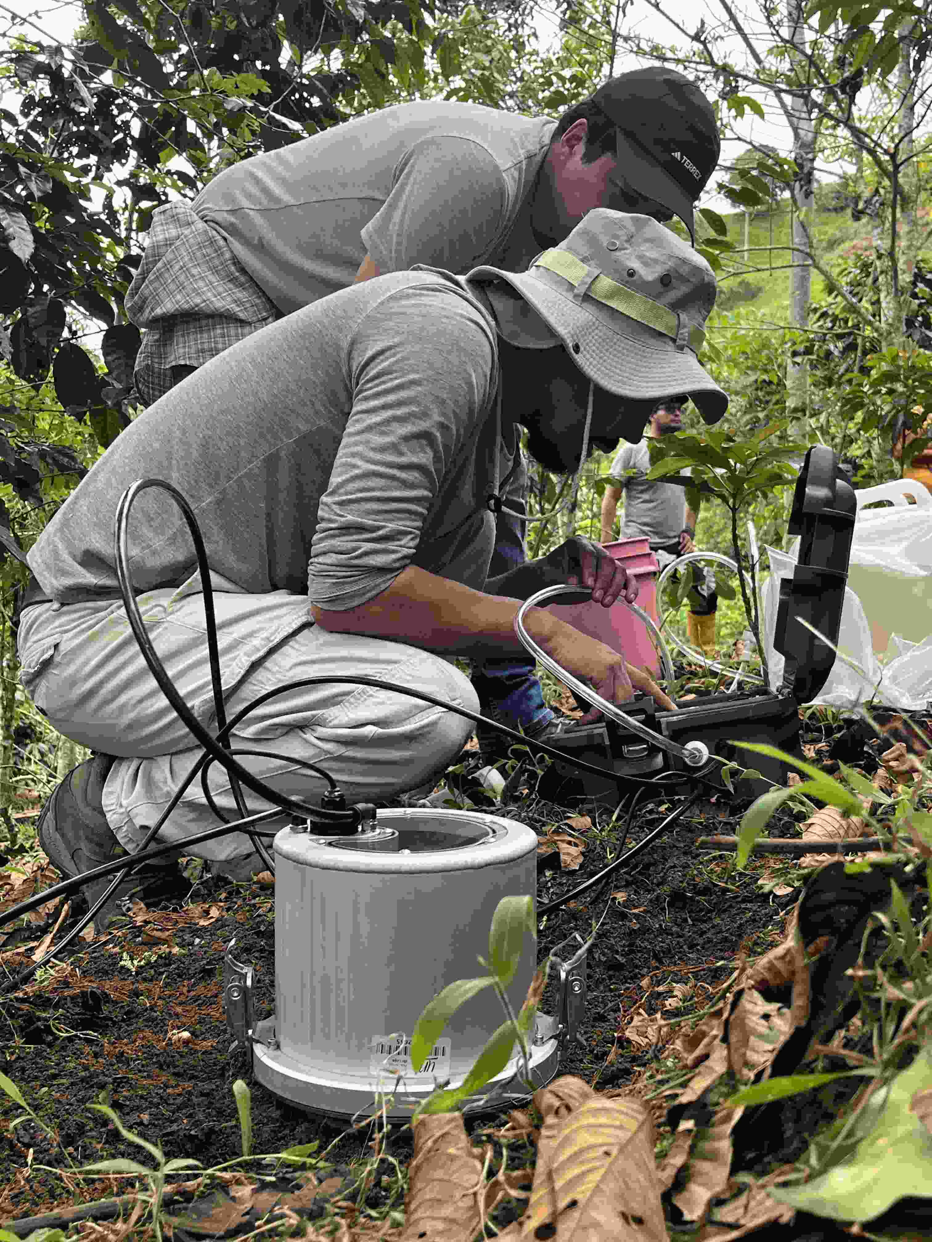 InvestigaciónCaféLojaZamoraCh 4