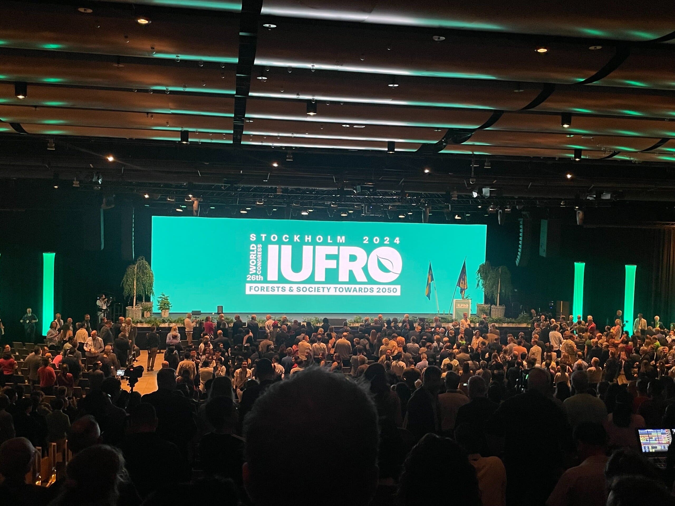 IUFRO 4