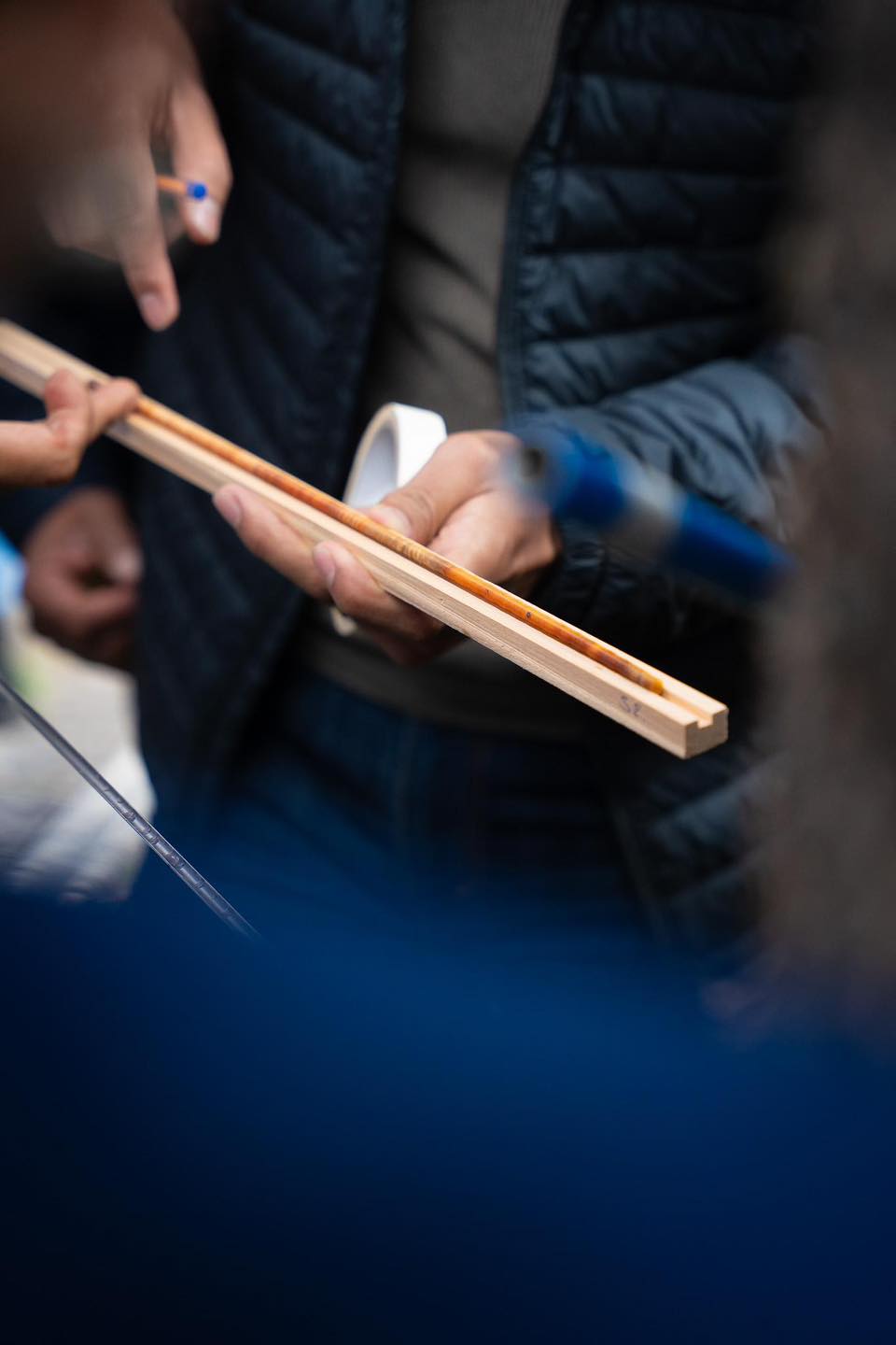 ApoyoCuencaArbolado 4