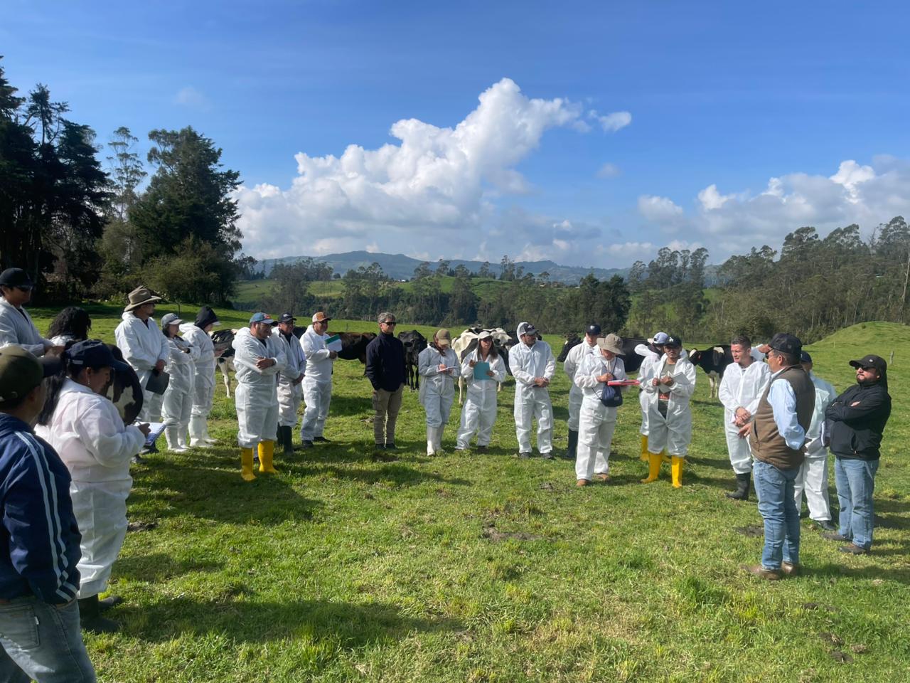 DocenteArgentinoProducciónAnimal 5