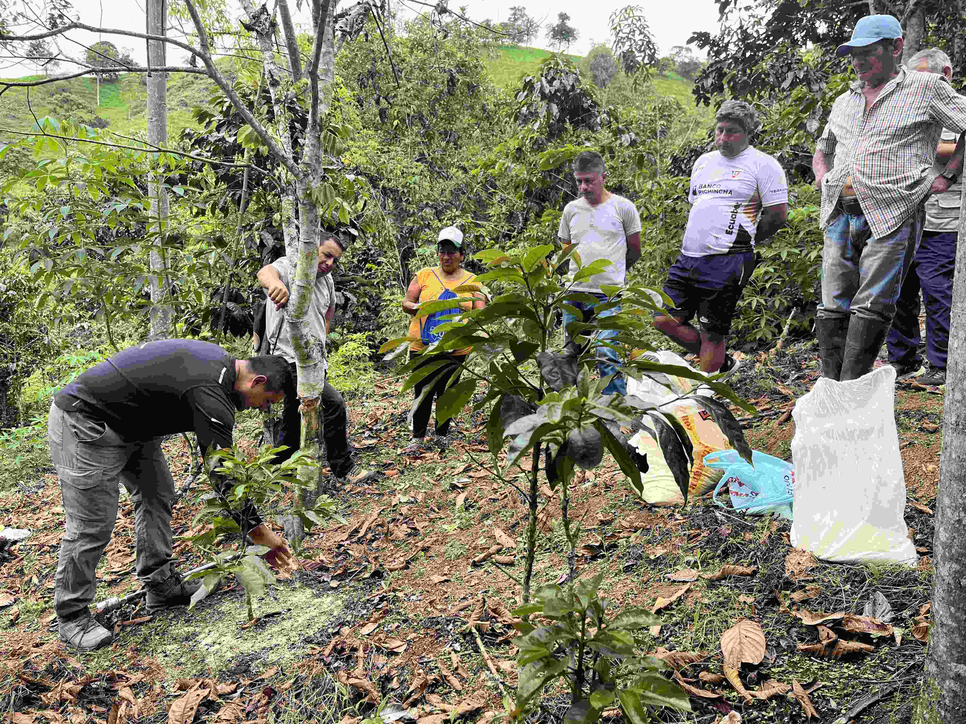 InvestigaciónCaféLojaZamoraCh 5