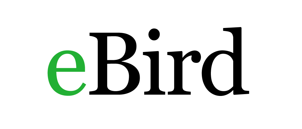 EBIRD