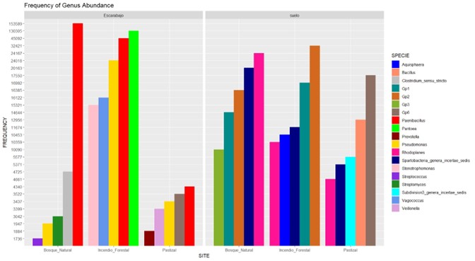 Premio al mejor póster científico categoría Profesional - Universidad Central del Ecuador