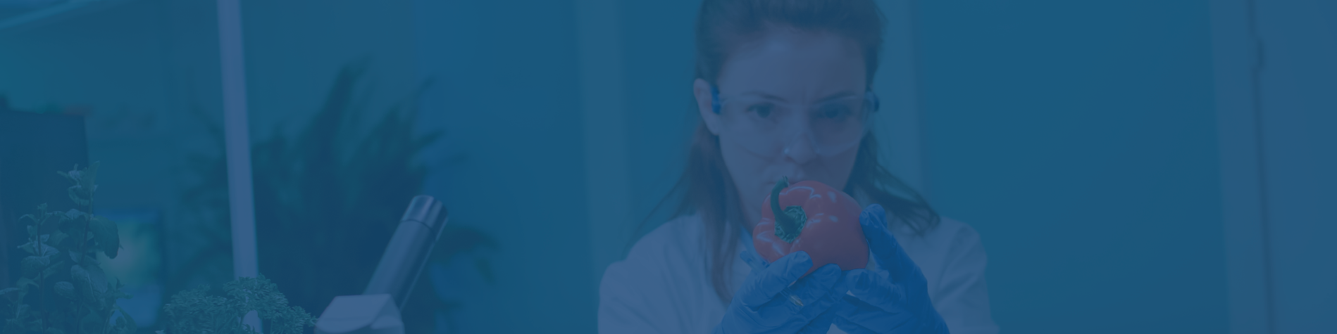 Maestría en Sanidad Vegetal