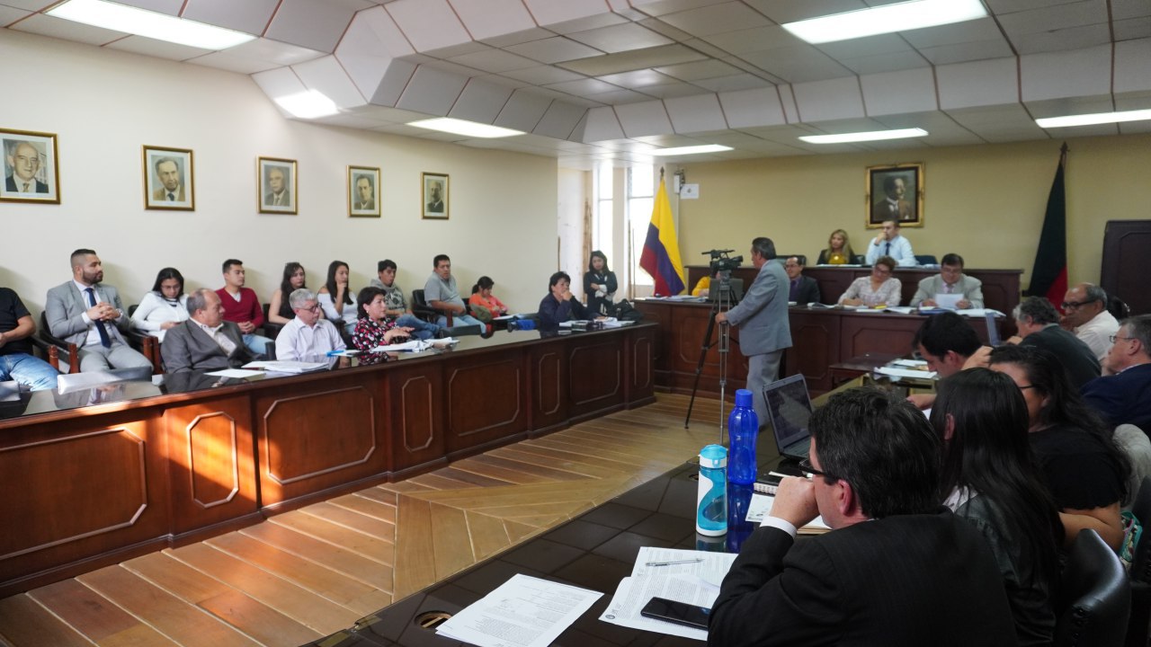 Órgano Colegiado Superior 