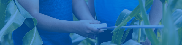 Maestría en Agronomía con mención en Nutrición Vegetal