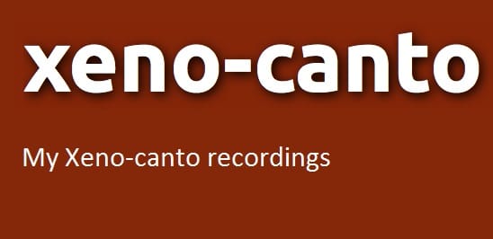 XENO CANTO