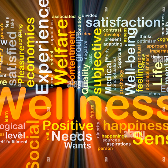 Factores socioeconómicos-ambientales y normas sociales que inciden en el Bienestar Subjetivo de las personas en Ecuador: Un análisis con modelos valorativos de elección discreta, a nivel local y nacional.