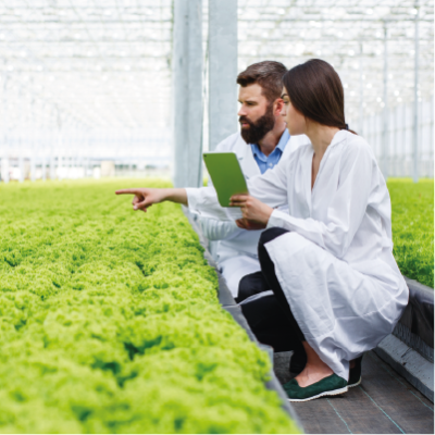 Maestría en Sanidad Vegetal