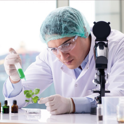 Maestría en Biotecnología Vegetal