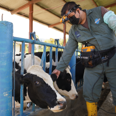 Maestría en Reproducción Animal