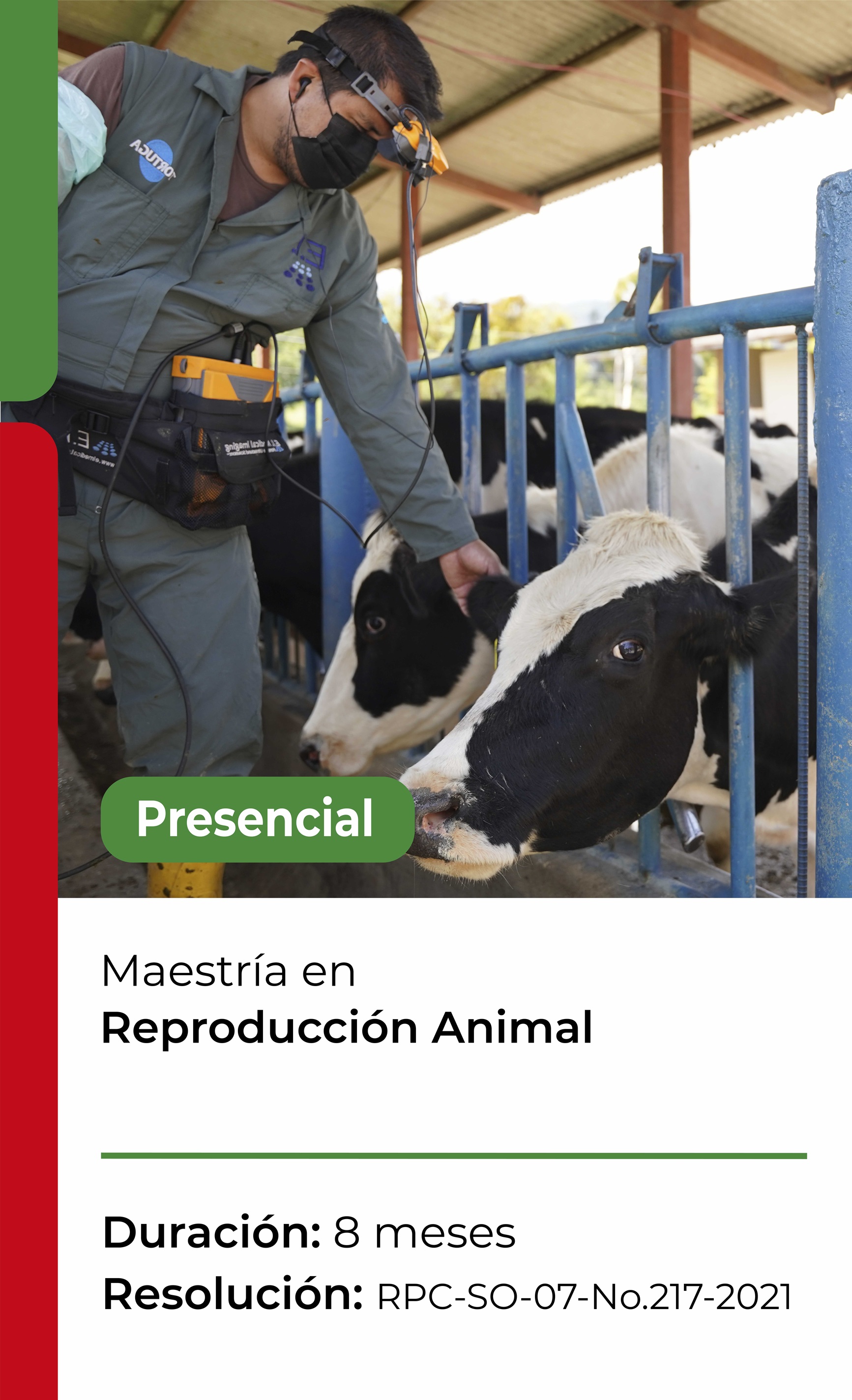 Reproducción animal