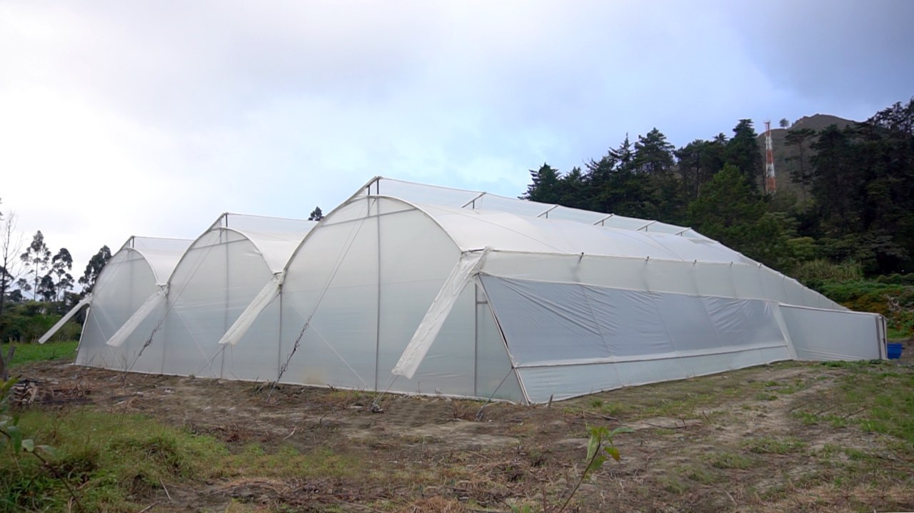 Quinta Experimental La Argelia potencia cultivos en invernaderos