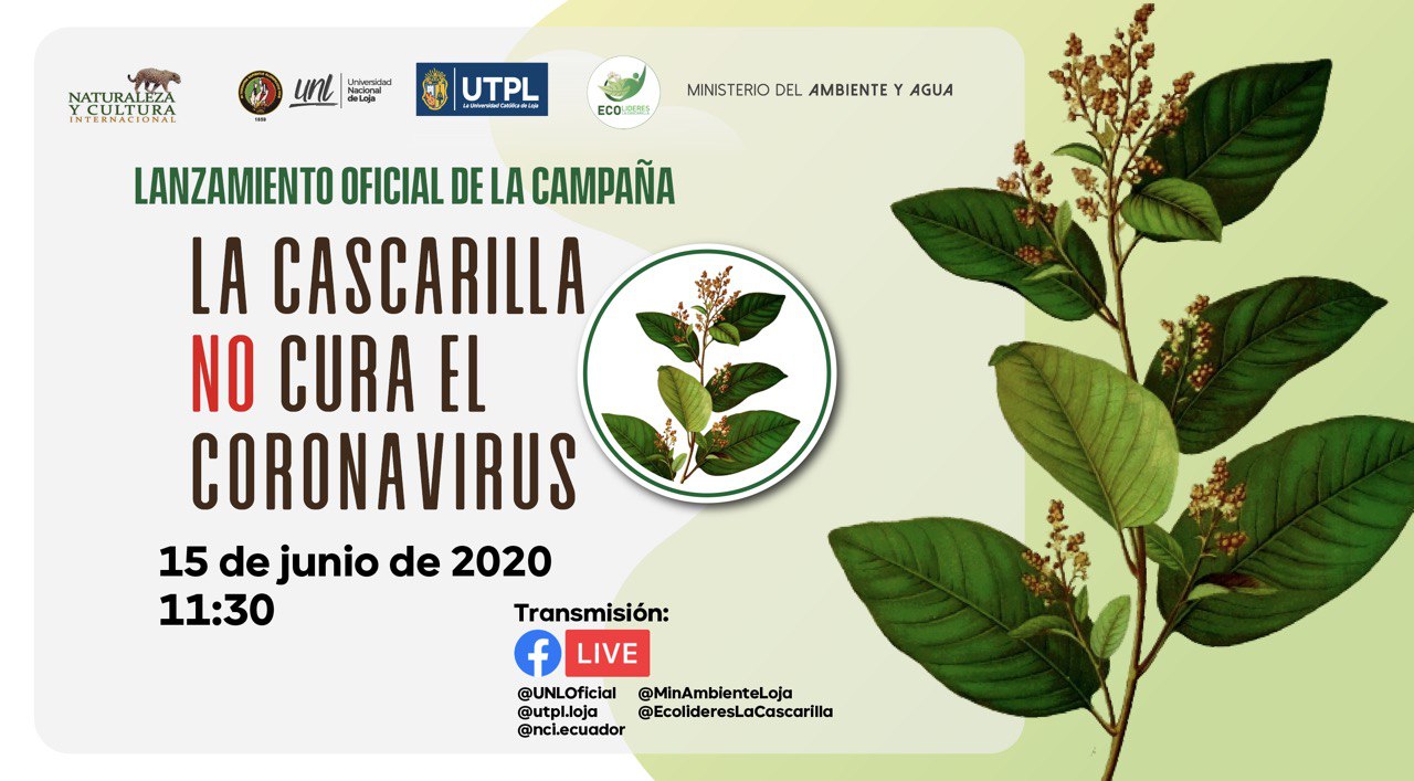 Lanzamiento de la campaña: La Cascarilla no cura el Coronavirus