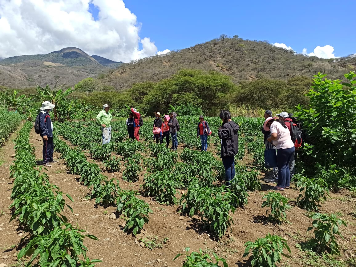 Zapotepamba centro de investigación para el desarrollo del sur del país