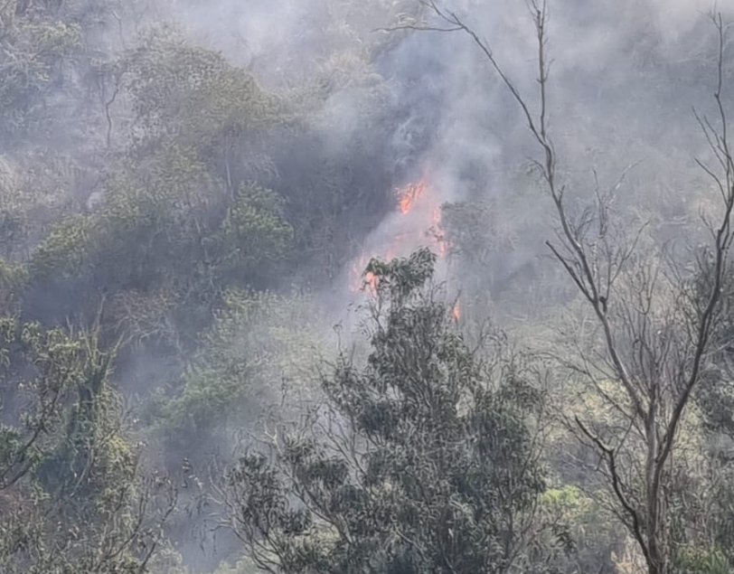 Incendios 1