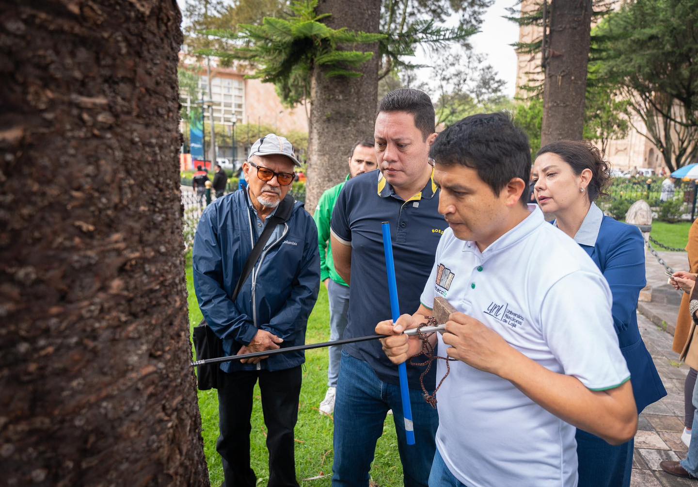 ApoyoCuencaArbolado 1