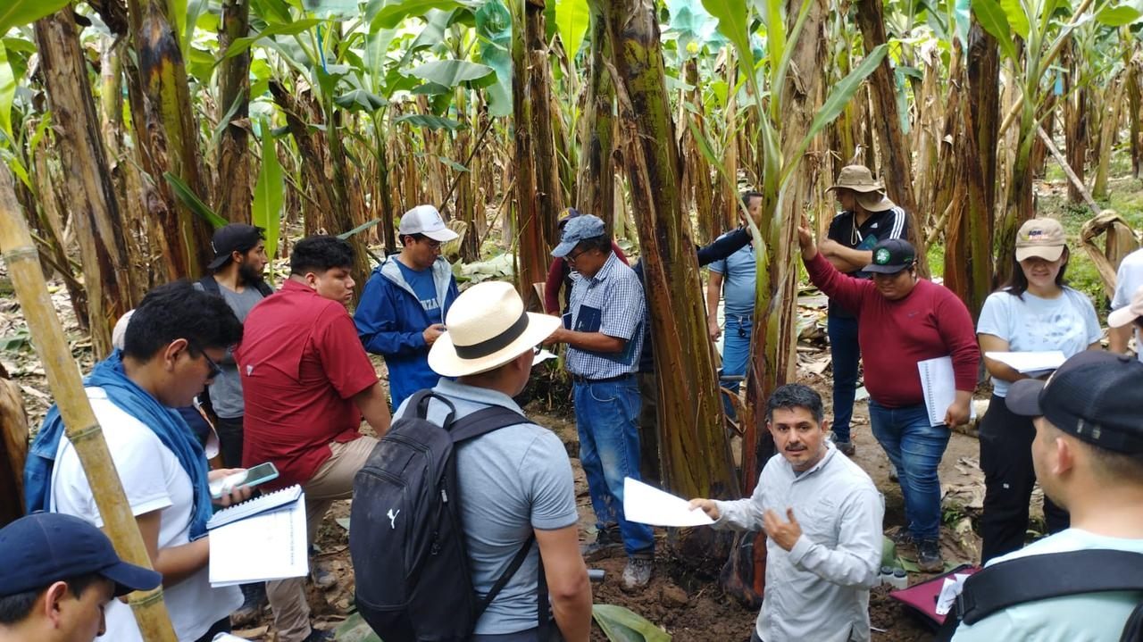 PrácticaMaestríaEnAgronomía 1