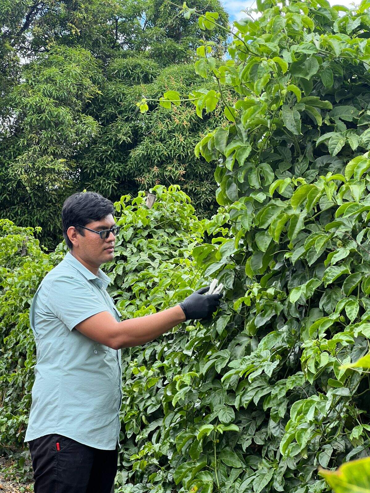 MaestríaEnAgronomía 1