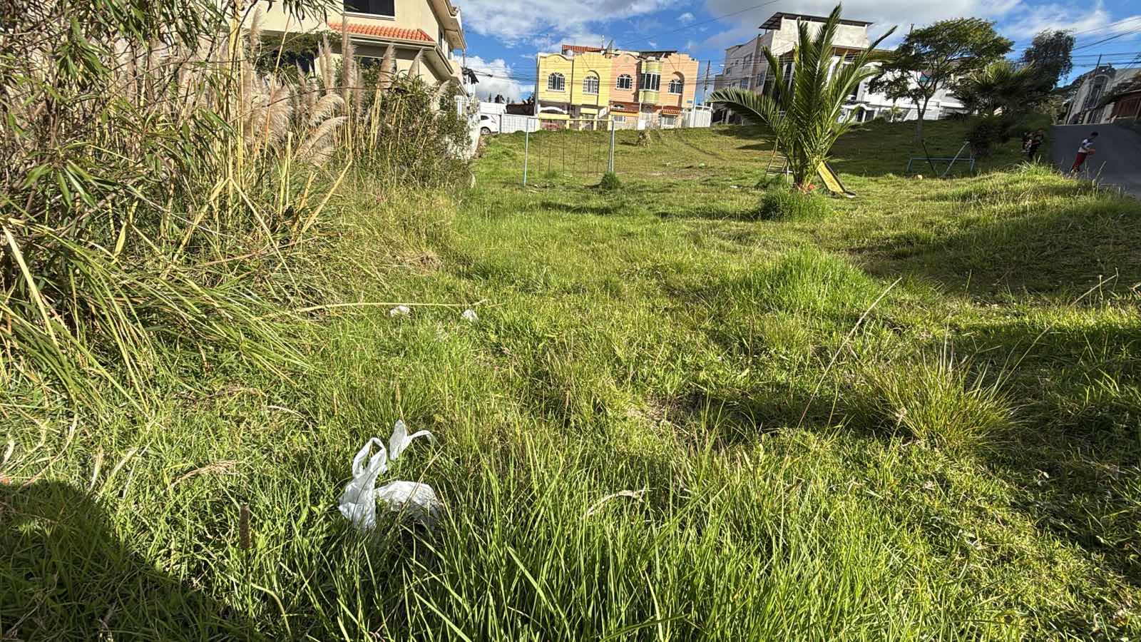 El descuido de parques cuesta a Loja 2 millones de dólares al año    