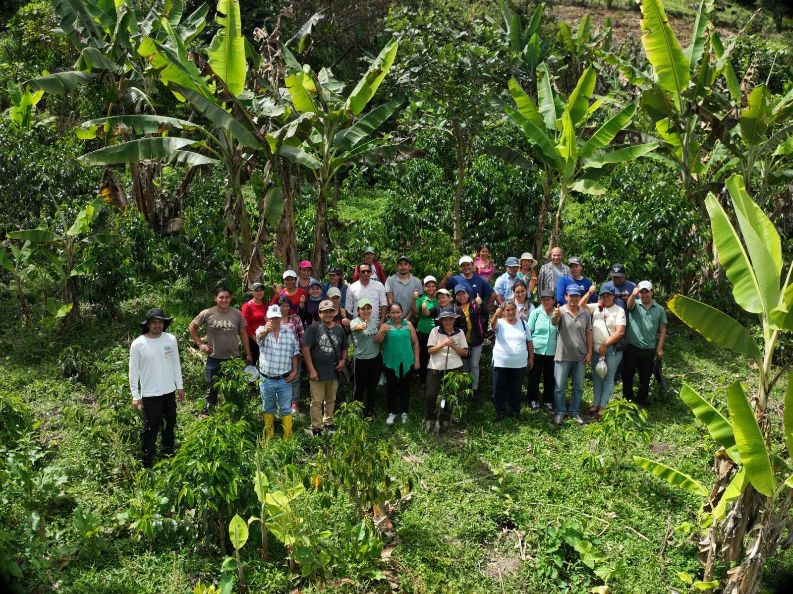 InvestigaciónCaféLojaZamoraCh 1