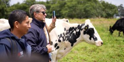 DocenteArgentinoProducciónAnimal 1