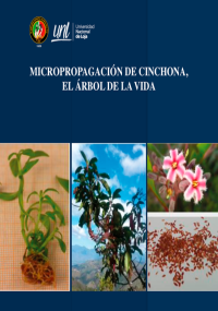 Micropropagación de Cinchona, El árbol de la Vida