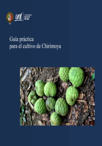Guía práctica para el cultivo de Chirimoya