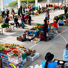 Restructuración de las ferias libres como espacio tradicional de comercialización en la provincia de Loja.