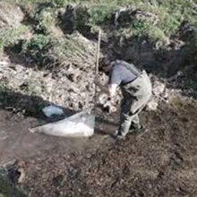 Biomonitoreo del estado de salud biológica de ecosistemas lóticos abastecedoras de agua de consumo para la ciudad de Loja