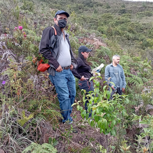 Estudio de la flora en los cantones Chinchipe y Palanda, sur oriente de la provincia de Zamora Chinchipe, Ecuador