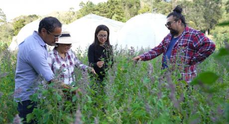 Equipo investigador en estudios de campo en plantaciones de quinua en la quinta experimental la Argelia de la UNL.