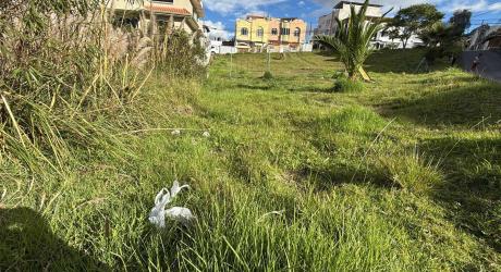 El descuido de parques cuesta a Loja 2 millones de dólares al año    