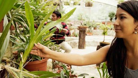 UNL organizó diálogo enfatizando el rol de la mujer en la Ingeniería Forestal