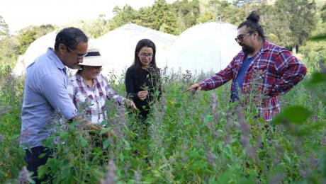 Equipo investigador en estudios de campo en plantaciones de quinua en la quinta experimental la Argelia de la UNL.