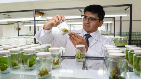 NuevasMaestrías2025-1 1