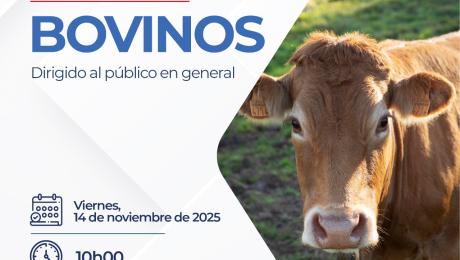 Aviso de remate octubre 2025
