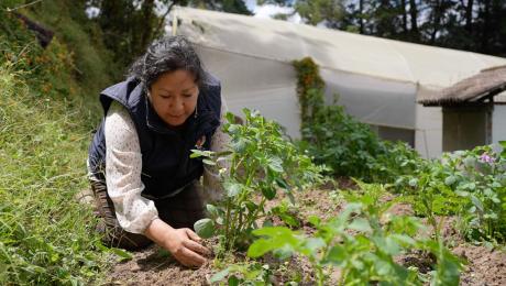 NarcisaUrgilesCediaAwards2025 1