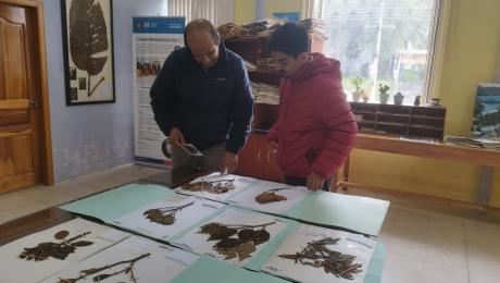 SubvenciónHerbario 1